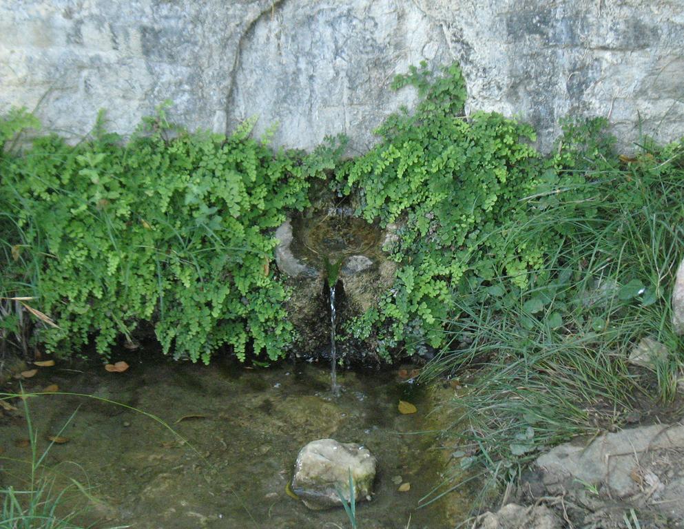 Traditional Stonehouse Ποτιστικά Εξωτερικό φωτογραφία
