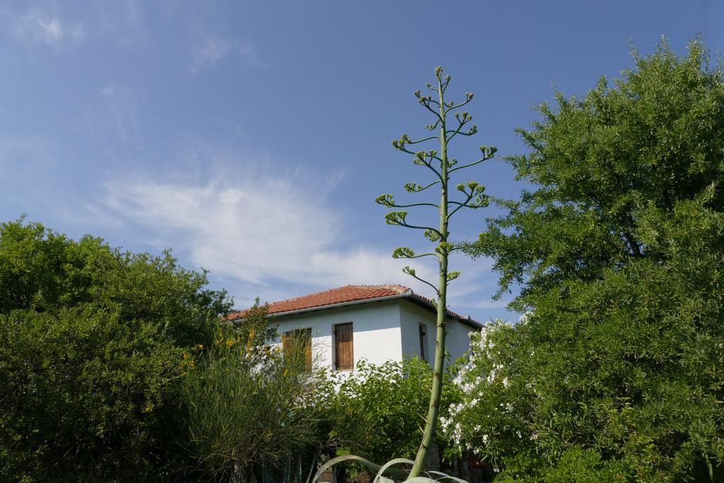 Traditional Stonehouse Ποτιστικά Εξωτερικό φωτογραφία